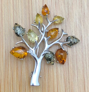 Amber Brooch  AMBBR15