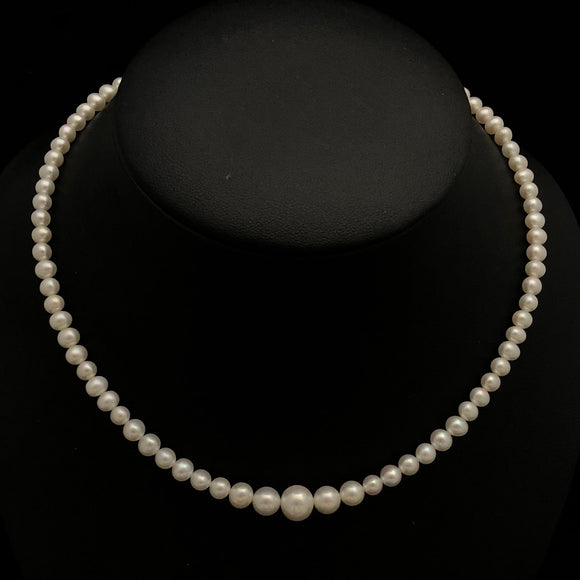 Freshwater Pearl Necklace