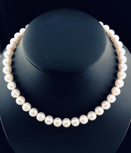 Freshwater Pearl Necklace