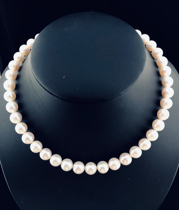 Freshwater Pearl Necklace